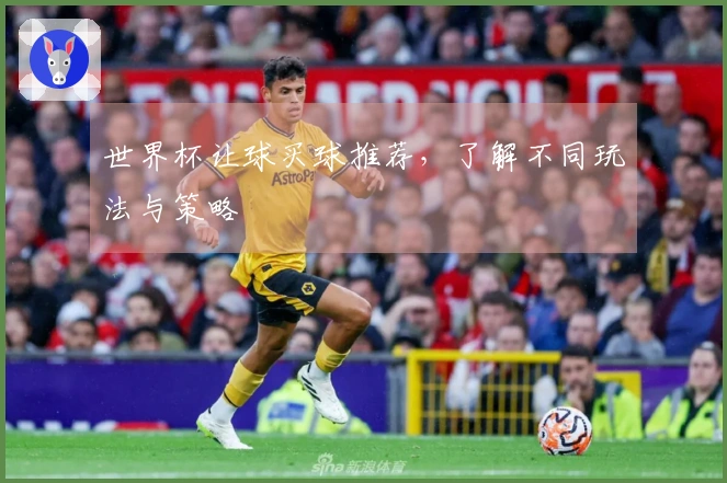 世界杯让球买球推荐，了解不同玩法与策略