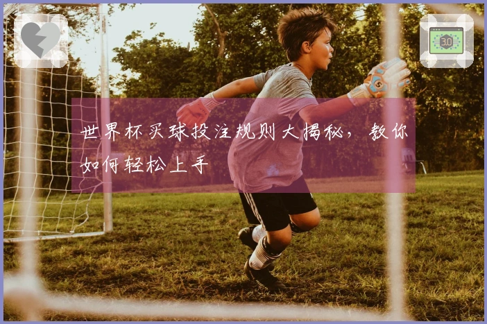 世界杯买球投注规则大揭秘，教你如何轻松上手