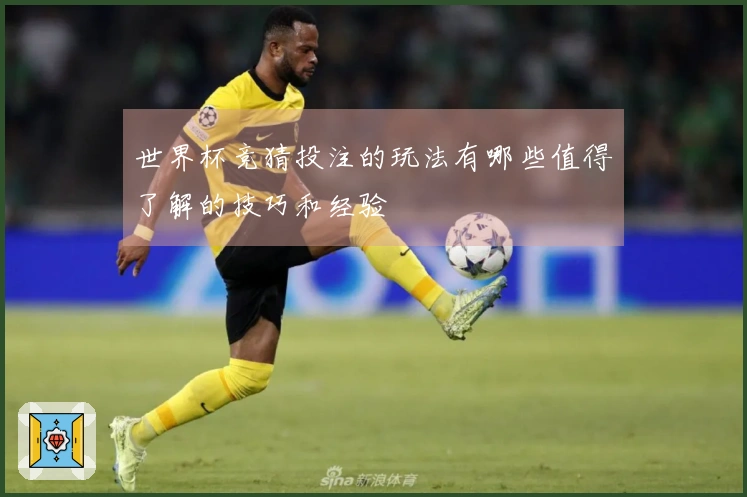 世界杯竞猜投注的玩法有哪些值得了解的技巧和经验