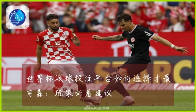 世界杯滚球投注平台如何选择才最可靠，玩家必看建议