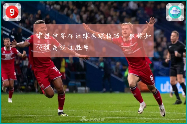 掌握世界杯让球买球技巧，教你如何提高投注胜率