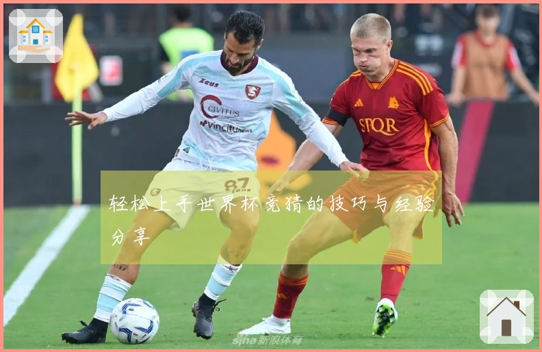 轻松上手世界杯竞猜的技巧与经验分享
