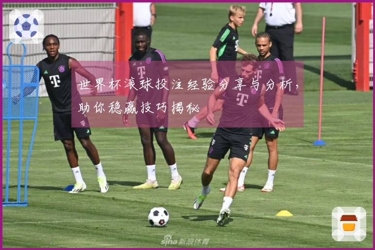 世界杯滚球投注经验分享与分析，助你稳赢技巧揭秘