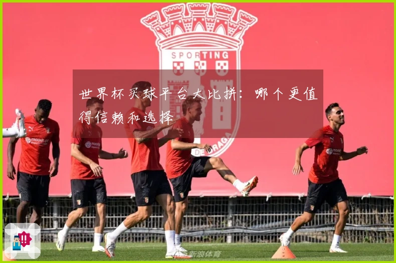 世界杯买球平台大比拼：哪个更值得信赖和选择