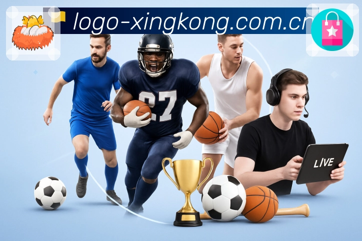 赛事解说与看点整理